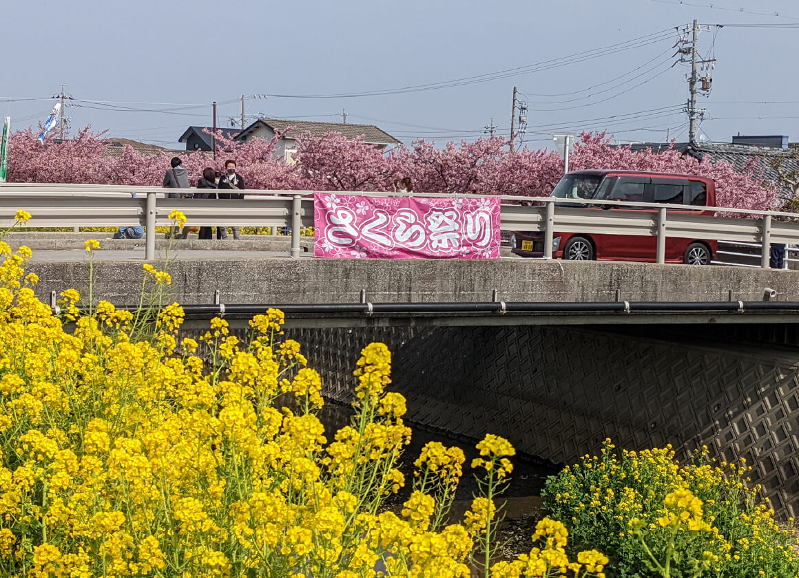 菜の花さくら祭りと共に、河川を美しく清掃活動